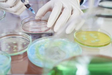 Similar image 20865039