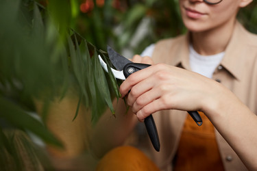 Similar image 20812254