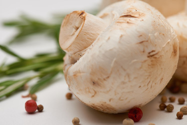 Similar image 20810600