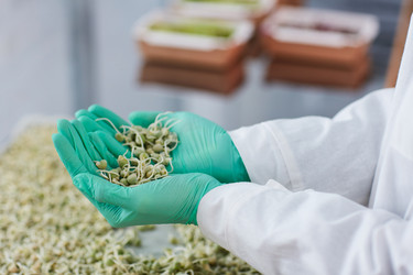 Similar image 20796258