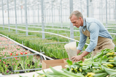 Similar image 20826498