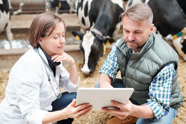 Similar image 20871357