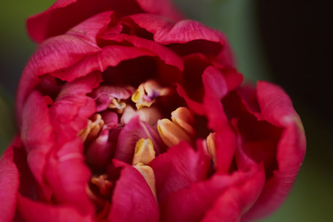 Similar image 20813975