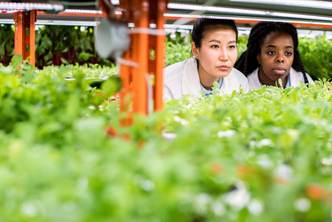 Similar image 20873120