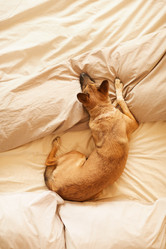 Similar image 20803686