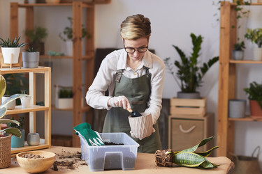 Similar image 20823589