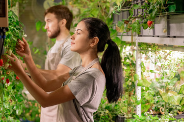 Similar image 20820457