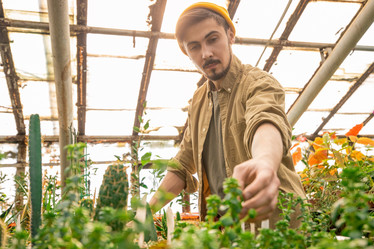 Similar image 20824144