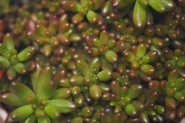 Similar image 20838412