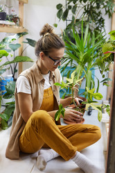 Similar image 20790250