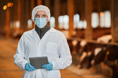 Similar image 20811825