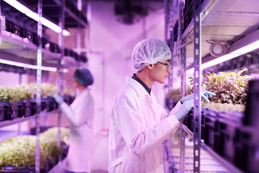 Similar image 20793342