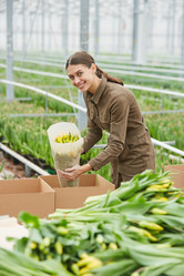 Similar image 20801769