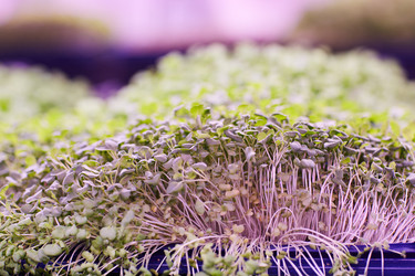 Similar image 20799539