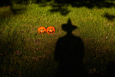 Similar image 20829839