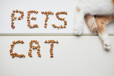 Similar image 20807851