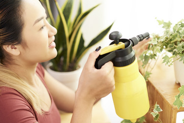 Similar image 20854634