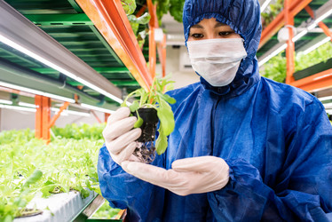 Similar image 20886340