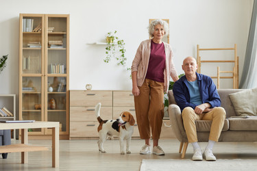 Similar image 20822803