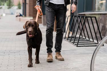 Similar image 20862436