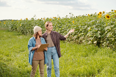 Similar image 20832166