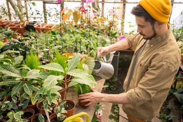 Similar image 20792984