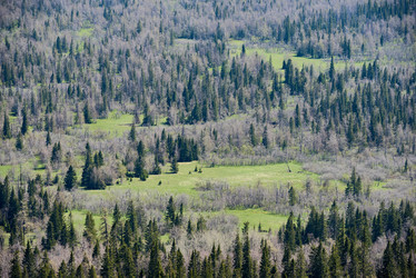 Similar image 20832468