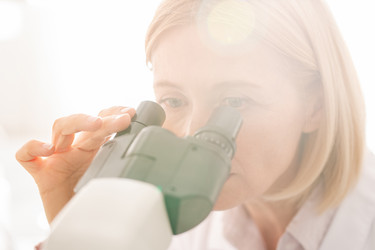 Similar image 20849430