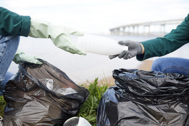 Similar image 20808054