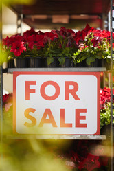 Similar image 20832991