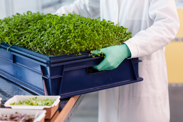 Similar image 20817887