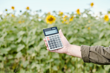 Similar image 20838939