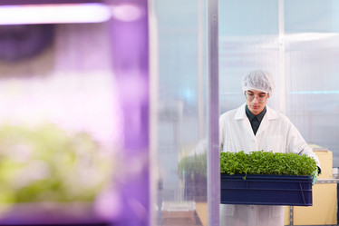 Similar image 20795497