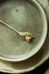 Similar image 20851598