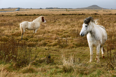 Similar image 20842949