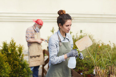 Similar image 20828282