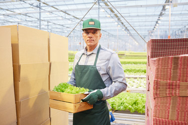 Similar image 20794418