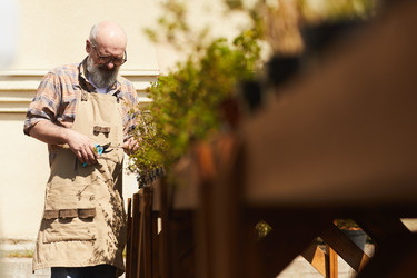 Similar image 20816862