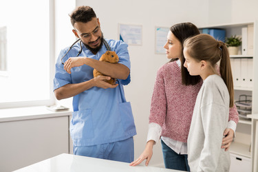 Similar image 20867828