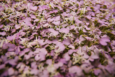 Similar image 20825677