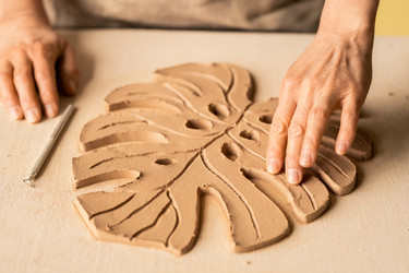 Similar image 20868945