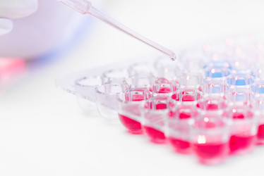 Similar image 20825041