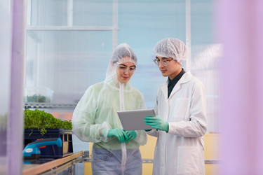 Similar image 20825829