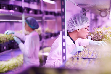 Similar image 20803309