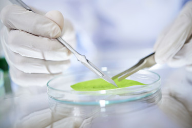 Similar image 20861044