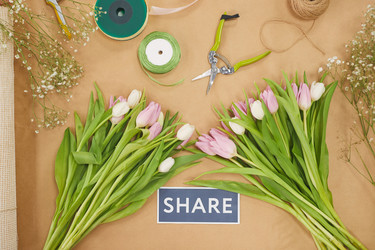 Similar image 20806822