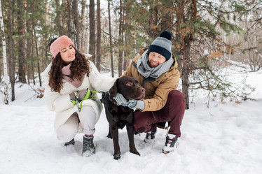 Similar image 20828365