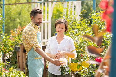 Similar image 20882537