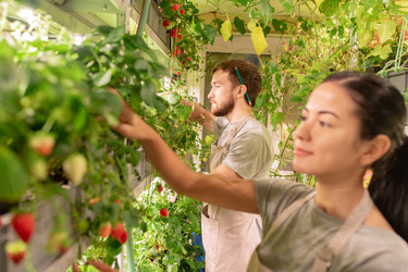 Similar image 20806894