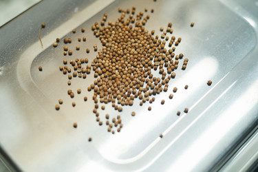 Similar image 20835141